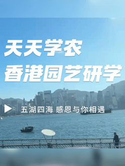 与香港园艺学会联合举办香港园艺研学，专业园境师带队讲解。